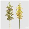EDG Enzo De Gasperi Ramo Orchidea Cymbidium Artificiale H 70 Cm Ass. Yellow Green 1 Pz