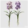 EDG Enzo De Gasperi Cespuglio Orchidea Vanda Artificiale con Foglio H 70 Cm Ass. Violet 1 Pz