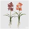 EDG Enzo De Gasperi Cespuglio Orchidea Vanda Artificiale con Foglio H 70 Cm Ass. Orange Mix 1 Pz