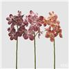 EDG Enzo De Gasperi Ramo Orchidea Vanda Artificiale H 70 Cm Ass. Orange Mix 1 Pz