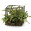 Tono Su Tono Felci Cubo Ferro 150 x 150 x 150 Mm
