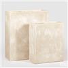 EDG Enzo De Gasperi Set 2 Pz Vaso Resinpietra Vaschetta H 92 Cm H 72 Ivory