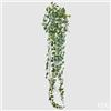 EDG Enzo De Gasperi Edera Bell Cad.X423 H183 B9 White Green
