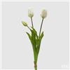 EDG Enzo De Gasperi Tulipano Gommato Olis 3 Rami H 48 Cm Bianco 1 Cf