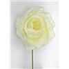 Linea Due Elle Rosa Grande Soft 10 Cm Avorio 6 Pz