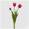 EDG Enzo De Gasperi Tulipano Gommato Olis 3 Rami H 48 Cm Rosso 1 Cf