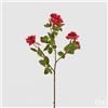 EDG Enzo De Gasperi Rosa Mini Rex Ramo X5 H66 B8 Red