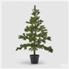 EDG Enzo De Gasperi Albero di Natale Pino West con Vaso H 94 Cm