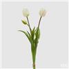 EDG Enzo De Gasperi Tulipano Gommato Olis 3 Rami H 48 Cm Bianco 1 Cf
