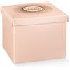 Scotton Scatola con Coperchio 300 x 300 x 240 Mm Spot Cipria
