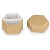 Scotton Scatola Esagono con Divisorio 80 x 55 Mm Nature 10 Pz