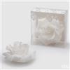 EDG Enzo De Gasperi Candela Rosa Galleggiante D11 (No-Perlata) 8 White Bianco