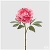EDG Enzo De Gasperi Peonia Royal H57 C3 Pale Pink