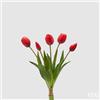 EDG Enzo De Gasperi Bouquet 5 Tulipani con Foglie H 40 Cm Red