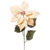 ARPIMEX Poinsettia Stella di Natale Innevata H 80 Cm Miele