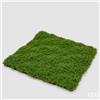 EDG Enzo De Gasperi Siepe Muschio L. 50 Cm L. 50 Cm Dark Green Anti-UV Plastica