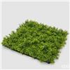 EDG Enzo De Gasperi Siepe Muschio a Ciuffi L. 50 Cm L. 50 Cm Green Anti-UV Plastica