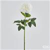 EDG Enzo De Gasperi Peonia Real Ramo H72 B7 White