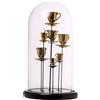 ARPIMEX Campana Vetro con Tazzine 17,5 x 32 Cm