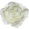 ARPIMEX Pick Peonia Innevata 23 Cm Bianco
