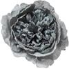 ARPIMEX Pick Peonia Innevata 23 Cm Blu