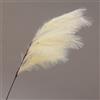 Conti Ramo Pampas 130 Cm Cream