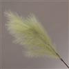 Conti Ramo Pampas 105 Cm Green