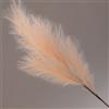 Conti Ramo Pampas 105 Cm Soft Pink