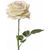 Conti Ramo Rosa H 75 Cm Cream Pink