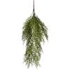 Conti Cadente Asparago 70 Cm Green