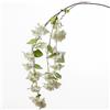 Conti Ramo Bouganvillea 150 Cm White