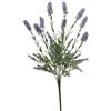 Conti Mazzo Lavanda H 49 Cm Purple