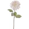 ARPIMEX Dalia Bianca con Foglie