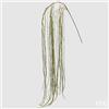 EDG Enzo De Gasperi Lycopodium Ramo L 186 Cm Colore Verde