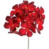 ARPIMEX Pick Ortensia Rosso