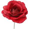 ARPIMEX Pick Rosa Rossa