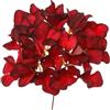 ARPIMEX Pick Ortensia D 20 Cm H 20 Cm Rosso