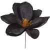 ARPIMEX Pick Magnolia Nera