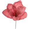 ARPIMEX Pick Amarillys D 16 Cm H 18 Cm Rosa