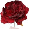 ARPIMEX Pick Peonia Singola Rossa