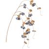 ARPIMEX Tralcio Bouganvillea H 155 Cm Blu