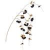 ARPIMEX Tralcio Bouganvillea H 155 Cm Nero