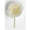 Linea Due Elle Rosa con Semi Centrali Polyester D 9 Cm Bianco 6 Pz