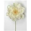 Linea Due Elle Peonia Polyester D 7,5 Cm Avorio 6 Pz
