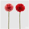 EDG Enzo De Gasperi Dalia rex H 65 Cm Rosa o Rosso 1 Pz