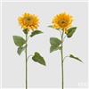 EDG Enzo De Gasperi Girasole Rex H 60 Cm Giallo