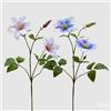 EDG Enzo De Gasperi Clematis con Foglie 2 Rami con Bocciolo 2 PZ Assortiti