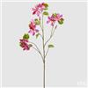 EDG Enzo De Gasperi Bauhinia Rex H 113 Cm 8 Rami Beauty