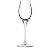 RCR Cristalleria Italiana Invino - I10 Liquore - Set da 6 Calici Liquore in Vetro