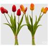 EDG Enzo De Gasperi Bouquet di 5 Tulipani Olis Ass. H 40 Cm Orange 1 Pz